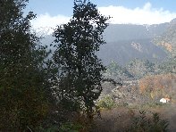Monte Fontane
